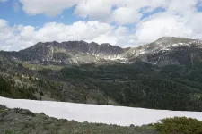 48919510132_c46c464ebf_6k.webp