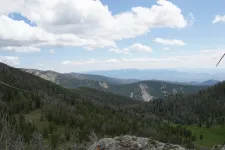 48919486547_5757208295_6k.webp