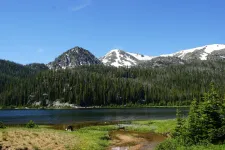 48919610562_4ac8e74d1e_6k.webp