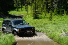 48919425011_b13d84f90b_6k.webp