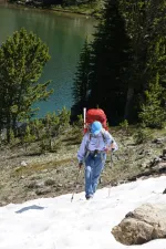 48919517931_116edd593f_6k.webp