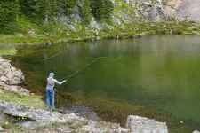 48919747922_33b1010681_6k.webp