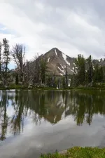 48919536996_a7f1f266d5_6k.webp