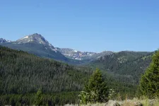 48919819517_50ac994cc2_6k.webp