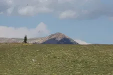 48919597651_5726fe1169_6k.webp