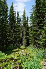 48919062498_ea9ce7ee14_6k.webp