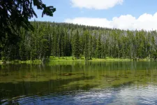 48919590201_8433489e1f_6k.webp