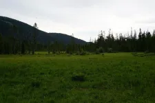 48919576791_3c5a9ce058_6k.webp