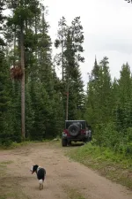 48919781507_ef5092d7b7_6k.webp
