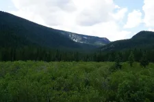 48953130681_af8c533447_6k.webp