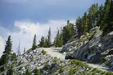 48953302742_138d9ffbed_6k.webp