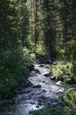 48953186451_fa0706b66a_6k.webp