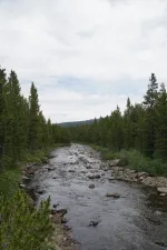 48952634923_897651fe81_6k.webp