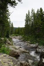 48953373337_c5f8c9d60a_6k.webp