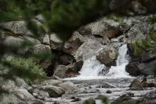 48952600588_10bb21e22d_6k.webp