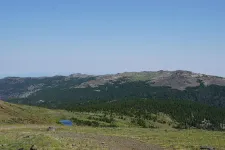 48952682308_3e01d91b5c_6k.webp
