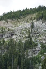 48952749583_74d04c9b90_6k.webp
