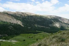 48952739638_4e2ca295cd_6k.webp