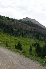 48952733603_f886e86c55_6k.webp