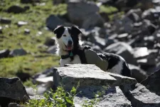 48953558042_047b77f4cc_6k.webp