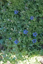 48953408181_e304d55631_6k.webp