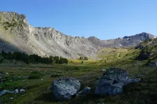48953676707_f311bb5e4f_6k.webp
