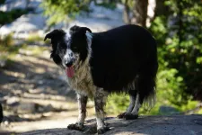 48952912913_cc24f92012_6k.webp