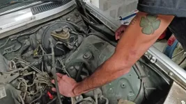 alfa-tat.webp