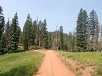 51307338086_c9e63348c9_b.webp