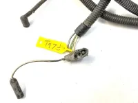 harness_plug2.webp