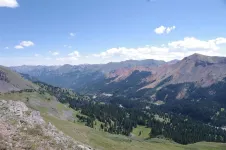 29087794156_0402bb0d0d_b.webp