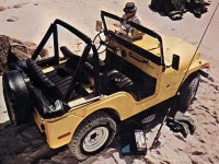 1972cj5.jpg