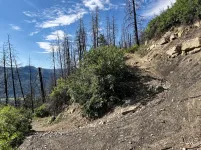 01 Mitchell Lakes trail.webp