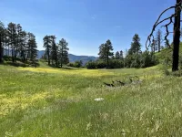 05 Mitchell Lakes trail.webp
