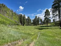 06 Mitchell Lakes trail.webp