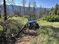 02 Mitchell Lakes trail.webp