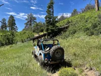 04 Mitchell Lakes trail.webp