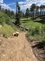 07 Mitchell Lakes trail.webp