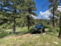 13 Mitchell Lakes trail.webp