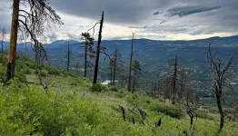 16 Mitchell Lakes trail.webp
