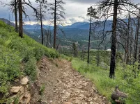 22 Mitchell Lakes trail.webp