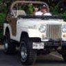 Eugene the Jeep