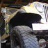 cj7v8