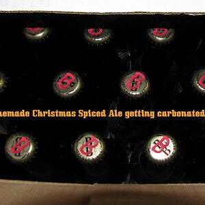 Homemade Christmas Spiced Ale 22novl09 800x600 027