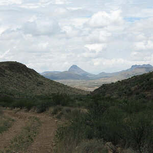 Grapevine-bbnp