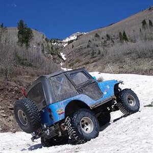 Avalanch Path In The La Plata Mts