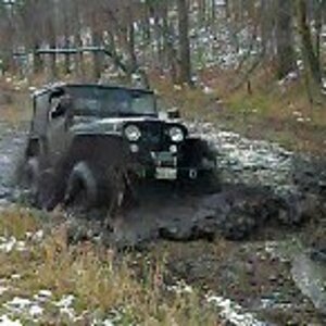 Wheeling In My Backyard