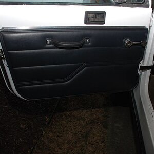 Driver Door Panel