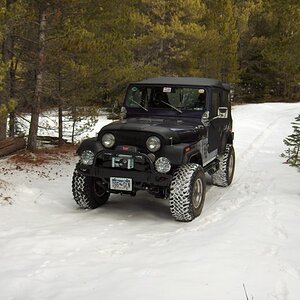 Purple Cj 7