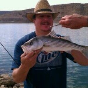 Striper